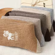 Men's Thermal Winter Socks