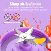 The Portable Blender Cup.