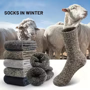 Men's Thickened Wool Blend Socks - for Autumn and Winter